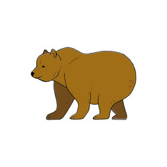 Bear. Hand drawn picture of a big brown bear, simple illustration isolated on white background for your design