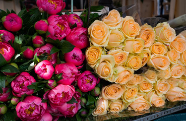 Obraz na płótnie Canvas Roses on sale in Paris' Marche d'Aligre market