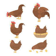 cartoon cock and hen, vector
