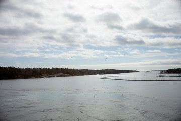 Sea - Sweden - Nynashamn