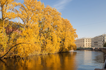 Fototapeta na wymiar Autumn cityscape of St. Petersburg