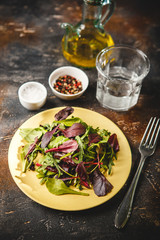 Fresh salad mix of baby spinach, arugula leaves and chard