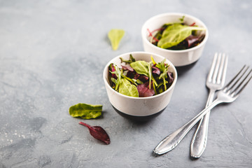 Fresh salad mix of baby spinach, arugula leaves and chard