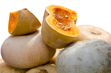 it is a lot of ripe pumpkins