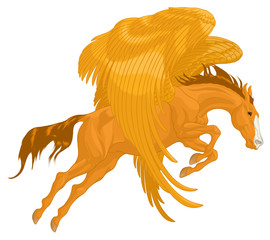 The winged sorrel stallion soars into the sky with a powerful jump, craned its neck forward. Colored illustration of a volant Pegasus. Vector clip art, design element for magic and mythological goods.