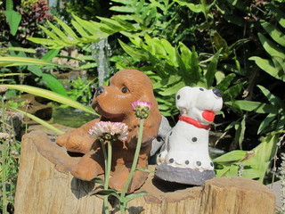 2 Ceramic dogs on a timber