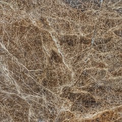Plakat Brown marble texture background