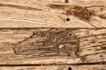 Obraz premium Graphic resources of ancient and aged wood