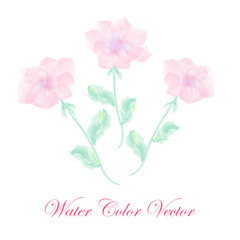 Fototapeta na wymiar Vector Watercolor Flowers.