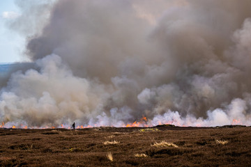 Burning the moors, Beamsley. Yorkshire