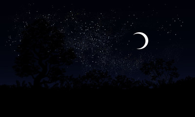 Obraz na płótnie Canvas Moon in the starry night sky