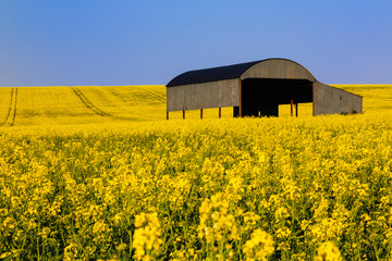 Dutch Barn Sixpenny Handley
