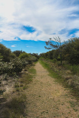 Pathway at the Outer Banks