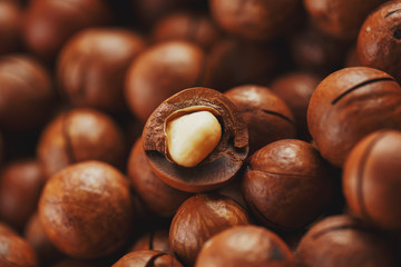Texture of organic macadamia nut fresh natural fruit shelled one nut - vintage filter