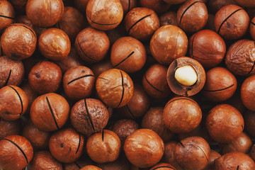 Texture of organic macadamia nut fresh natural fruit shelled one nut - vintage filter