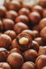 Texture of organic macadamia nut fresh natural fruit shelled one nut - vintage filter
