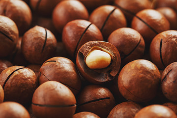 Texture of organic macadamia nut fresh natural fruit shelled one nut - vintage filter