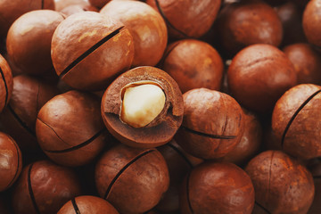 Texture of organic macadamia nut fresh natural fruit shelled one nut - vintage filter