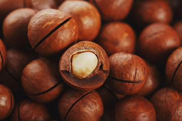 Texture of organic macadamia nut fresh natural fruit shelled one nut - vintage filter