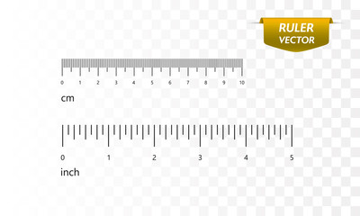 Rulers set, inches and centimeters. Vector 