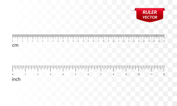 Rulers set, inches and centimeters. Vector 