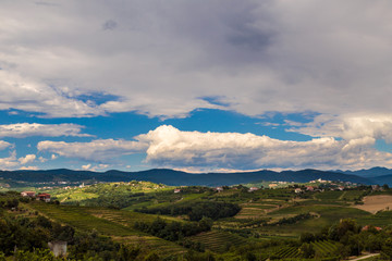 Stormy day in the vineyards of Brda, Slovenia