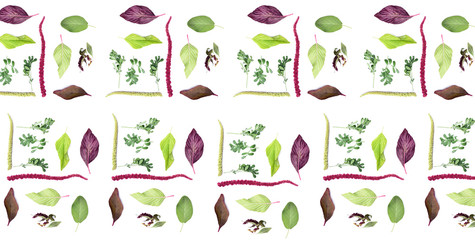 Herbs pattern © dominikab