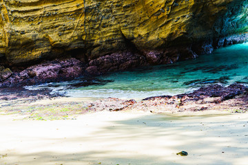 [静岡県] 南伊豆の自然　竜宮窟