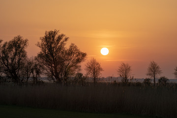 Malerischer Sonnenuntergang mit riesig großer Sonne und Silhoutten von Bäumen und Gräsern über dem Achterwasser bei Rankwitz auf Usedom