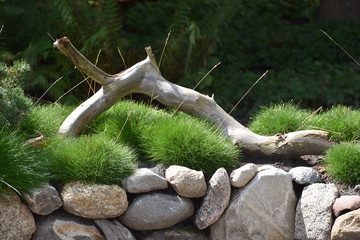Baum