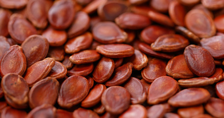 Red dry watermelon seed