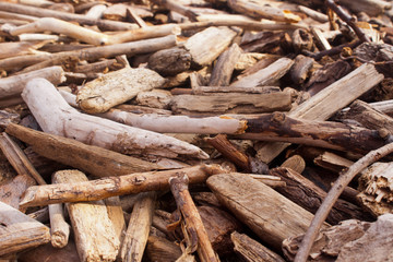 Many pieces of dried driftwood close up