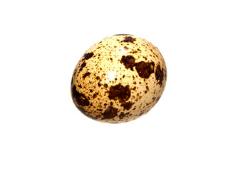 egg isolated on white background