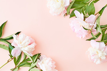 Flat lay frame with light pink peonies on a pink background