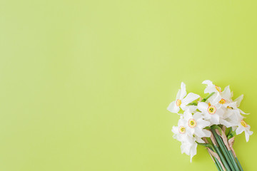 Flat lay composition with white daffodils on a green background