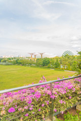 Fototapeta premium Gardens by the bay in Singapore.