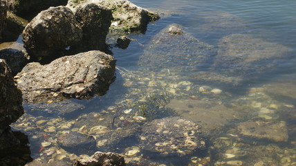 SONY DSC