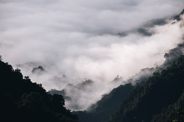 Fototapeta na wymiar Mountain mist in the morning in Thailand