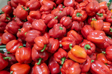 Fresh red pepper harvest close up on the market.