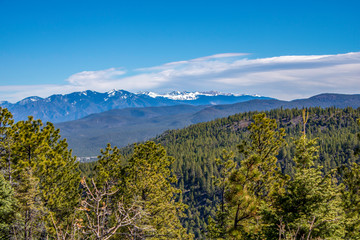 Among New Mexico's Highest Peaks