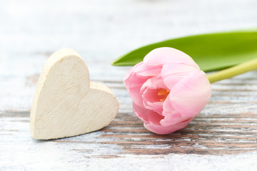 white Heart with pink flowering  tulips on wood