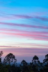 Amazing colorful vivid cloudscape in the early morning above silhouettes of trees
