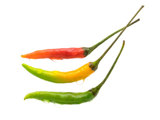 three chilli Red yellow and green on white