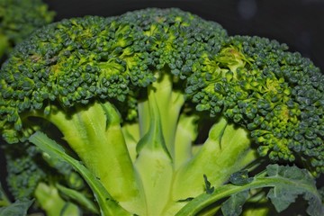 Fresh broccoli on a black background