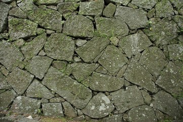 長い年月を過ごした石垣