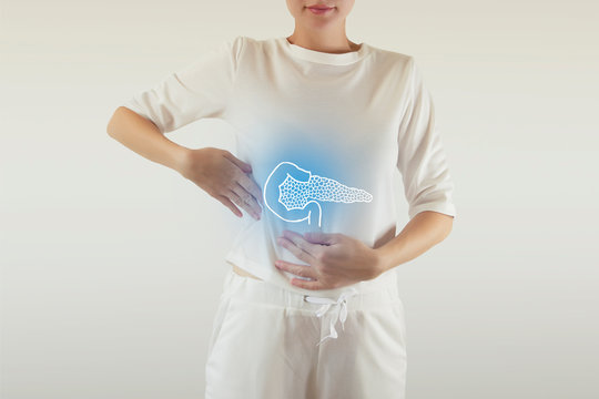 Healthy human pancreas highlighted blue on woman body