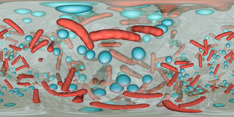 360-degree spherical panorama of bacterial biofilm. Mixture of bacteria of different types and shapes, 3D illustration