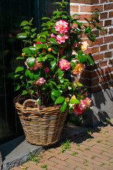 Blumenschmuck