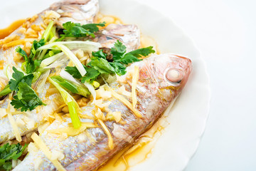 Chinese dish steamed red shirt fish