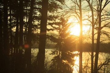 Sunset over lake through forest trees